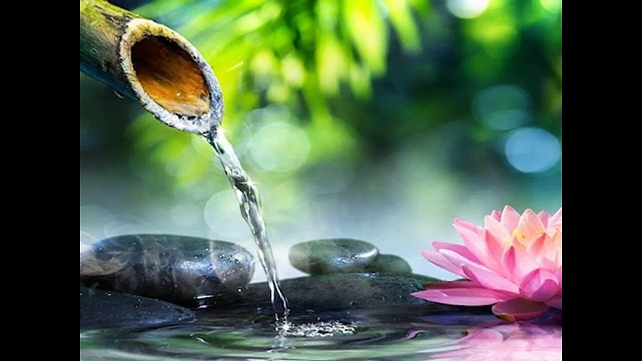 1 Hour Relaxing Music With Water Sounds Meditation