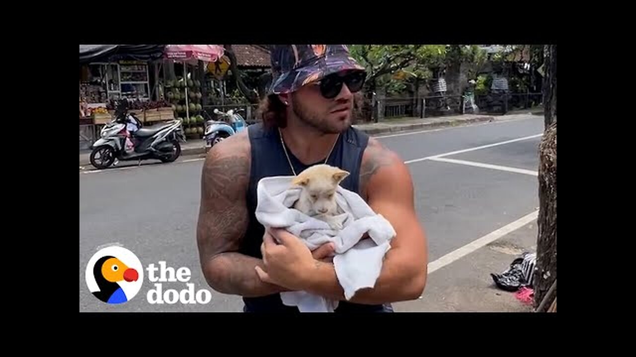 Tiny Puppy Thrown Out Like Trash Can't Stop Kissing Her New Sisters _