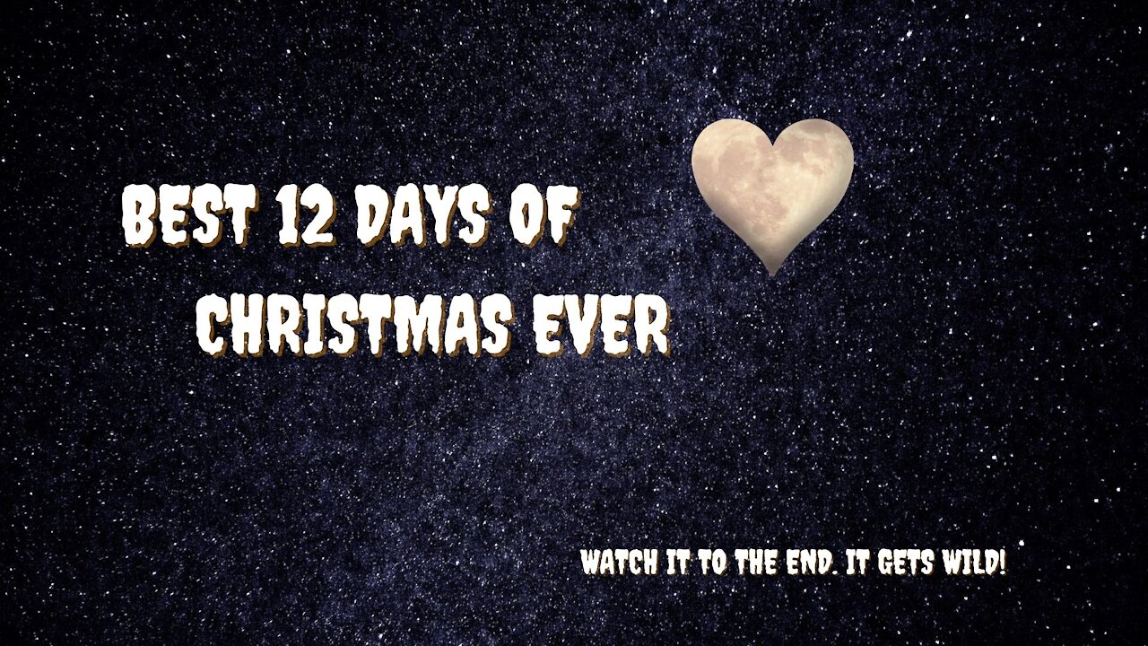 BEST 12 DAYS OF CHRISTMAS EVER