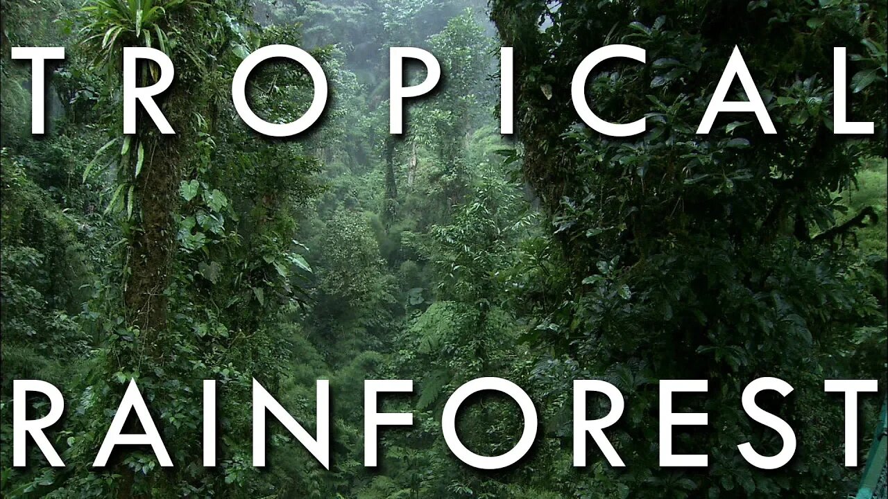 The Tropical Rainforest Climate - Secrets of World Climate #1