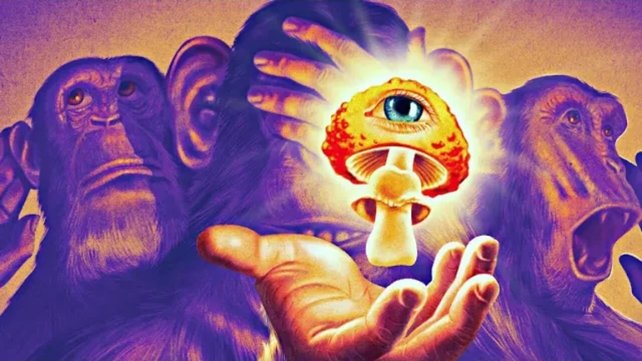 Stoned Ape Theory - Terence McKenna