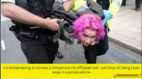 It's embarrassing to witness a climate activist affiliated with Just Stop Oil being taken away