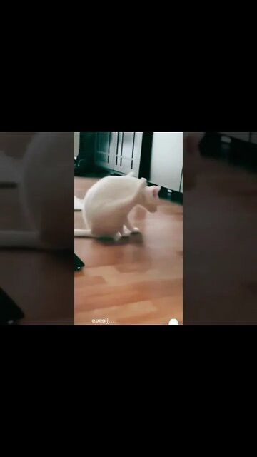 SE GOSTOU DEIXA SEU LIKE E SE INSCREVE NO CANAL ME AJUDA BATER A META DE 100 INSCRITOS