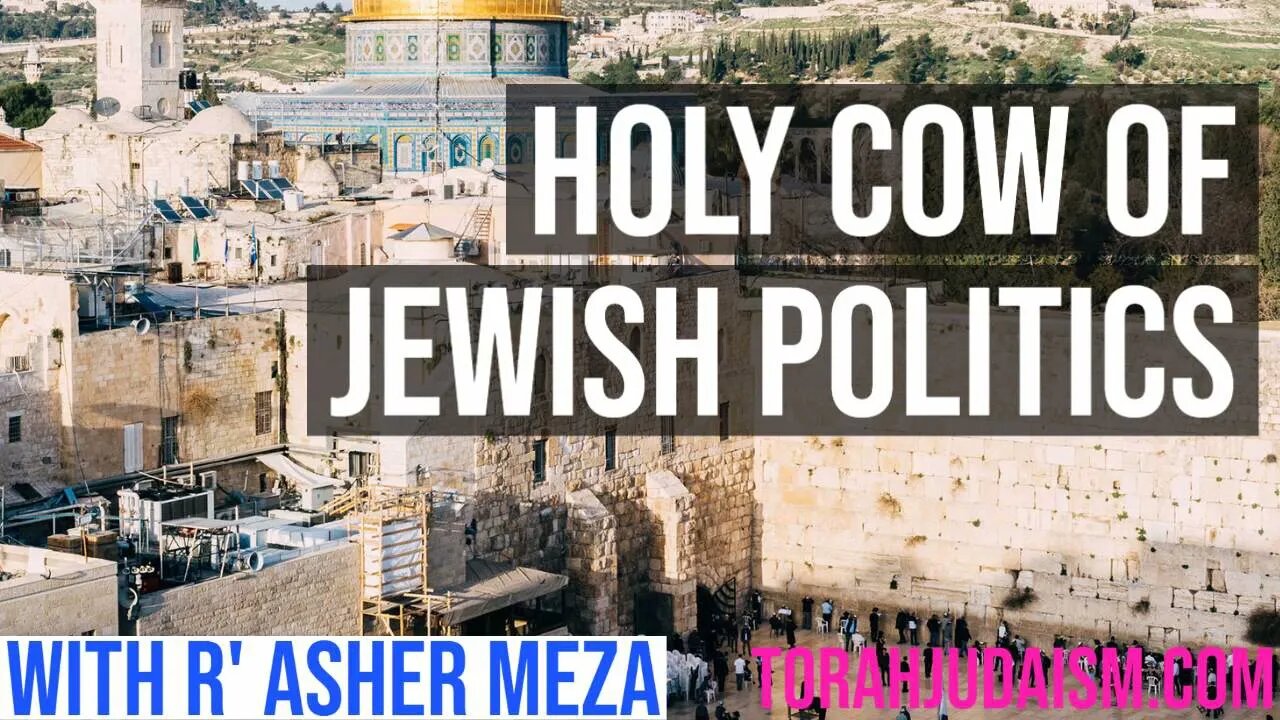 Holy Cow of Jewish Politics