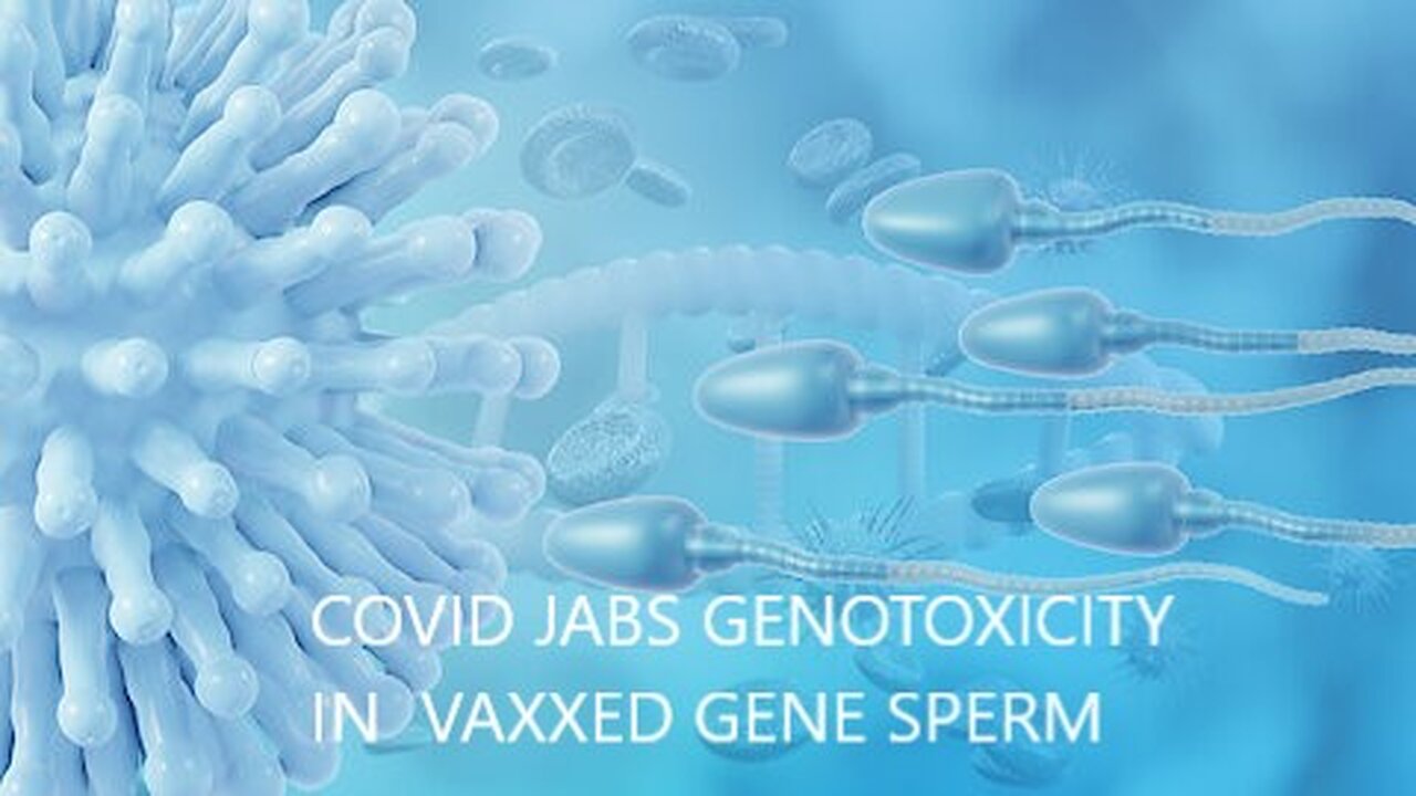 Findings Covid Jabs Based on Gene Therapy Genotoxicity in Vaxxed Genes in Sperm Cells