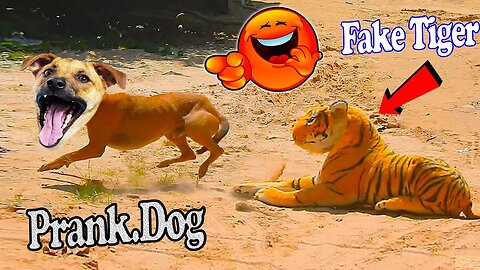 funny dog prank with fake tiger and lion comedy video