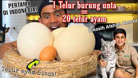 MUKBANG 2 FIRST DINOSAUR EGGS IN !! World