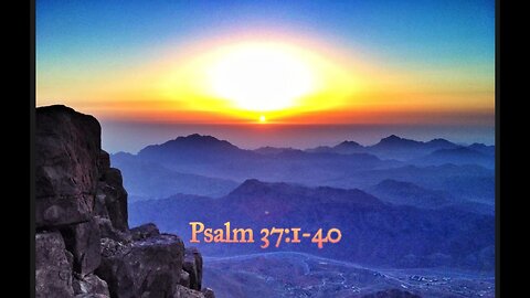 Psalm 37:1-40 TPT