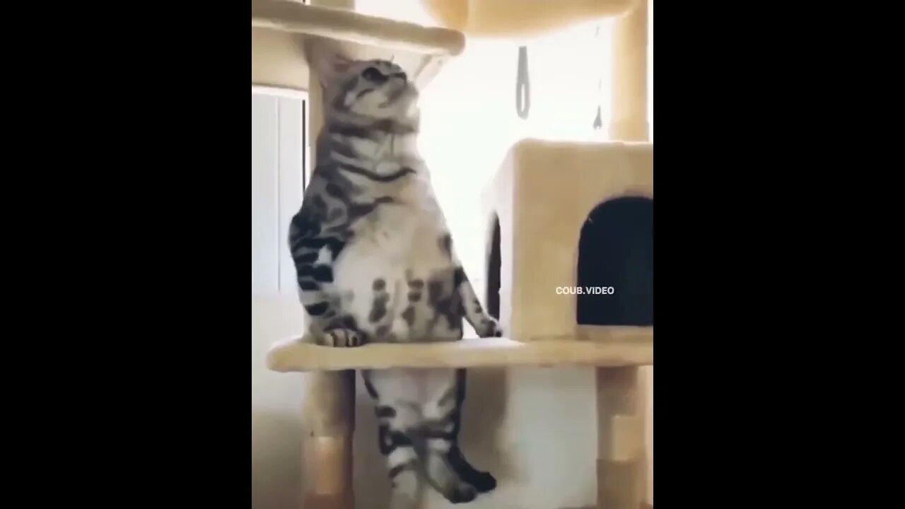 #funny