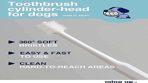 Toothbrush for dogs easy to use made in Japan Kenko care by Mind Up (Cylinder Head)