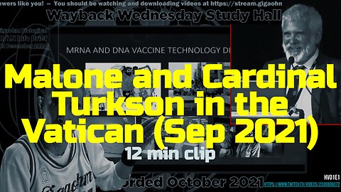 Robert Malone and Cardinal Turkson in the Vatican (Sep 2021) ICS1 GigaOhm 12min clip