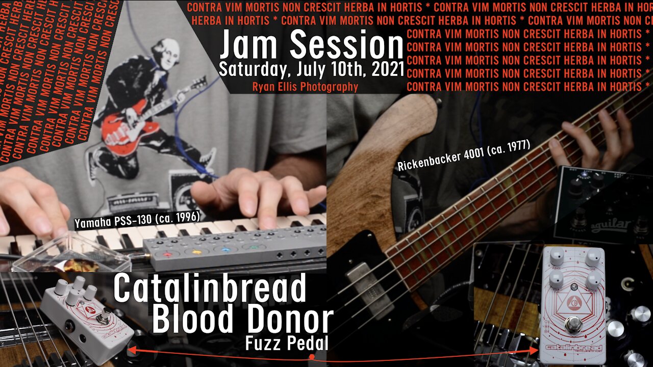 JAM SESSION! — Catalinbread "Blood Donor" FUZZ PEDAL on Bass & Keys