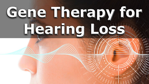 Dr. Jeffrey R Holt on Gene Therapy for Hearing Loss | Interview