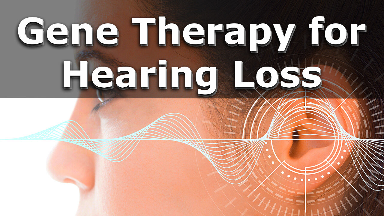 Dr. Jeffrey R Holt on Gene Therapy for Hearing Loss | Interview