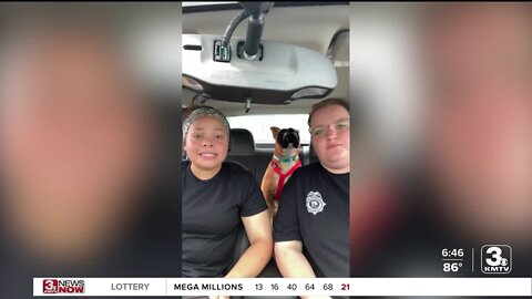 Nebraska Humane Society demonstrates the effects of hot cars on animals