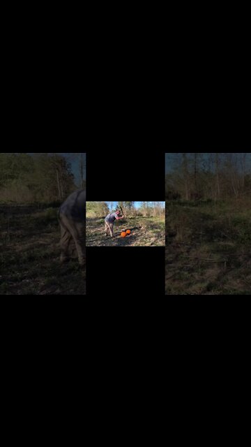 Smashing A Pumpkin with a machete | #shorts