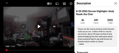 diaperchan reads the chat