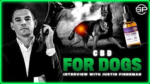 CBD For Dogs? Kuribl CEO Talks Health Benefits Of Natural CBD