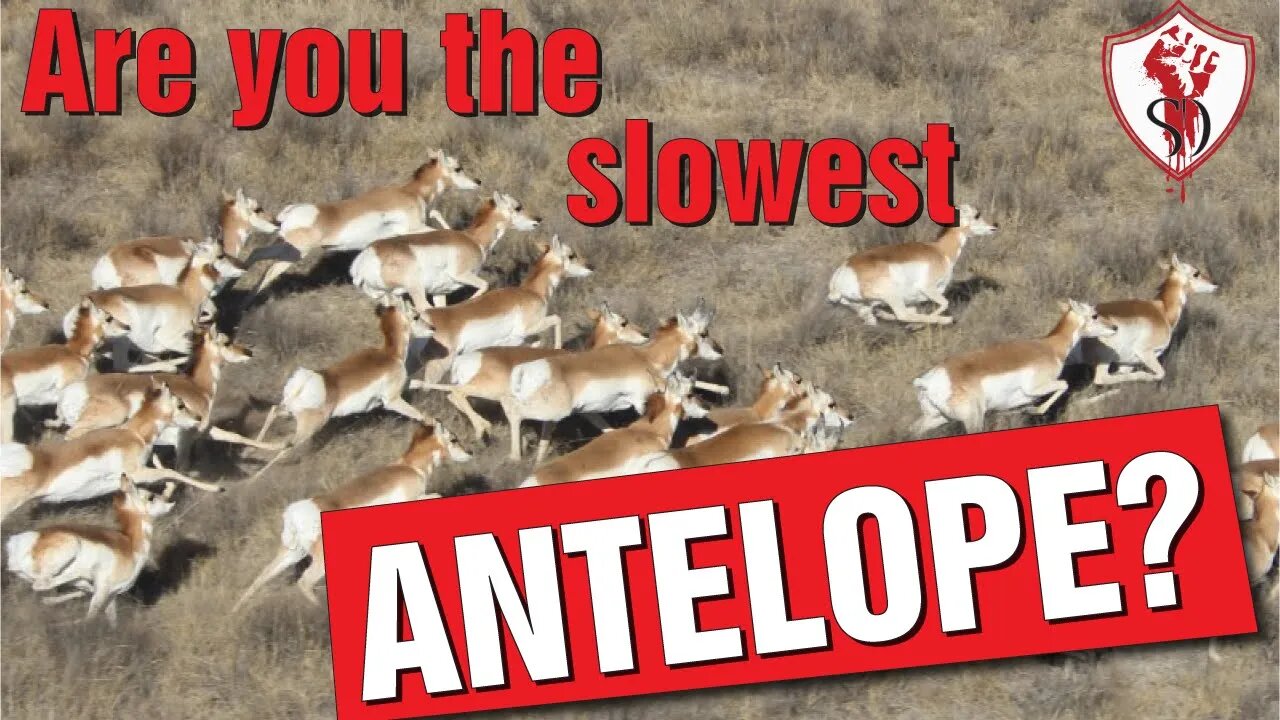 Are You the Slowest Antelope 🐎?