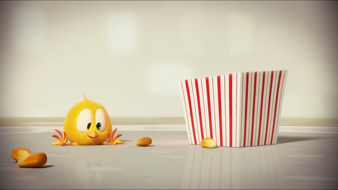 Where's Chicky? Funny Chicky 2019 | POP CORN | Chicky Cartoon in English for Kids