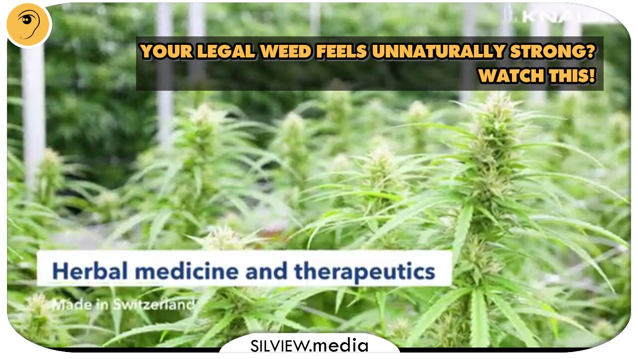 YOUR LEGAL WEED FEELS UNNATURALLY STRONG? WATCH THIS!