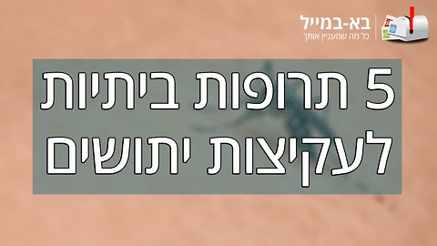 5 תרופות ביתיות לעקיצות יתושים