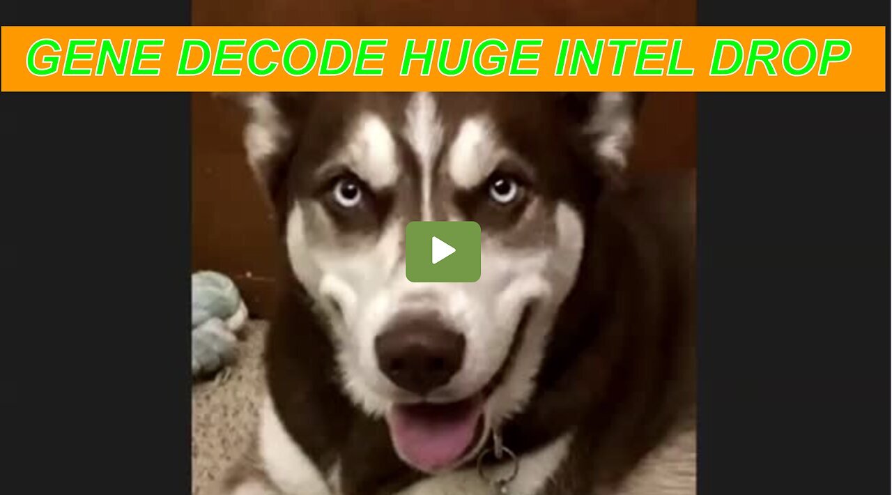 Boom: Gene Decode W/ Latest Intel On Ukraine, Tesla , Latest On Dumbs & More W/ Tom...