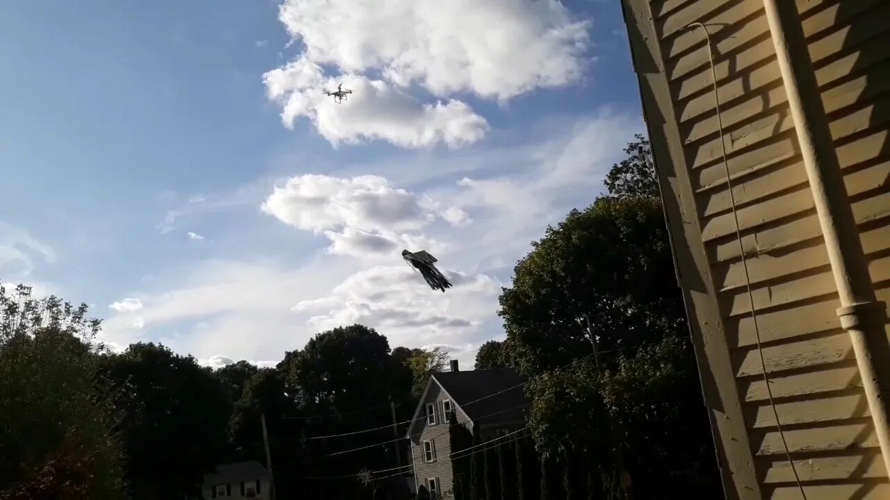 Flying skull