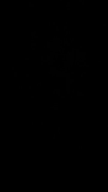 Jesus is coming back