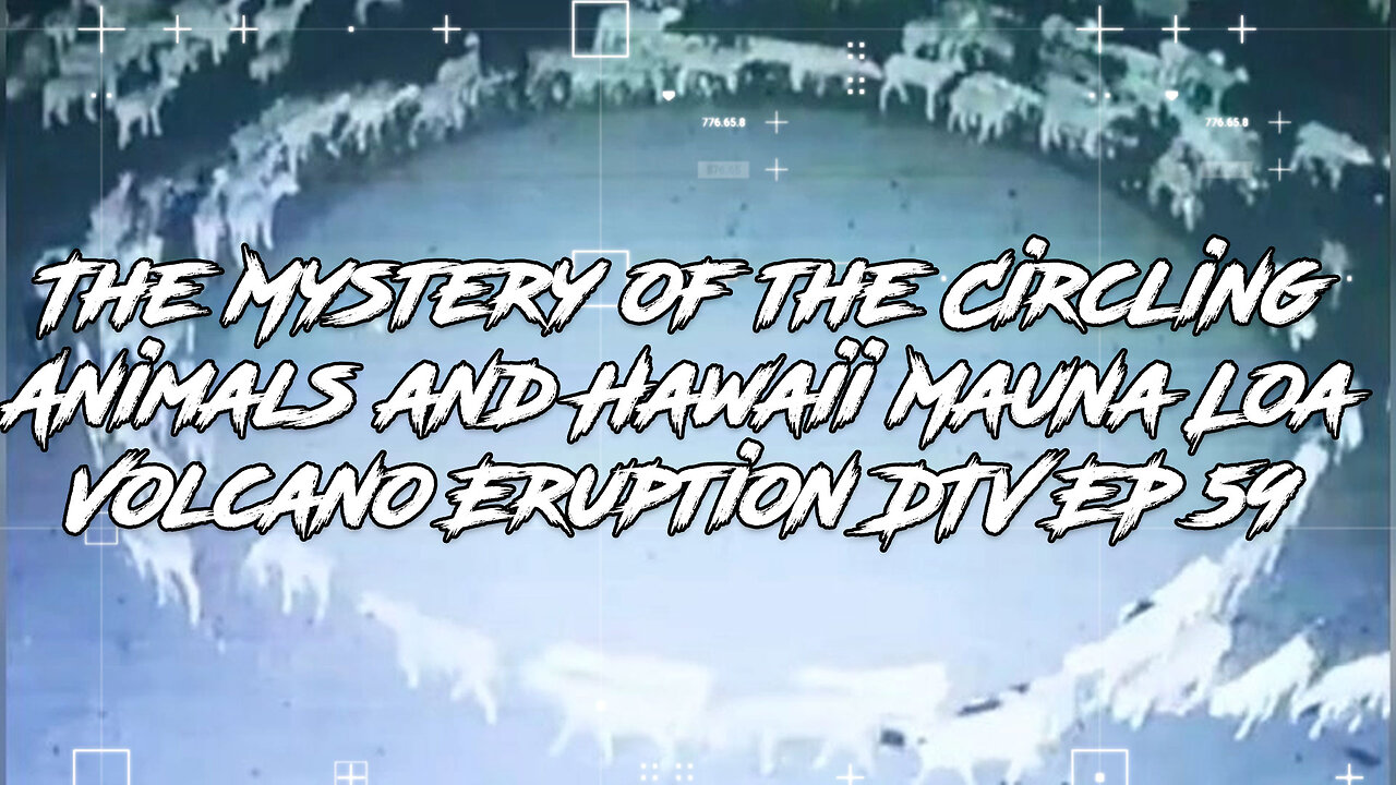 The Mystery of the Circling Animals and Hawaii Mauna Loa Volcano Eruption DTV EP 59