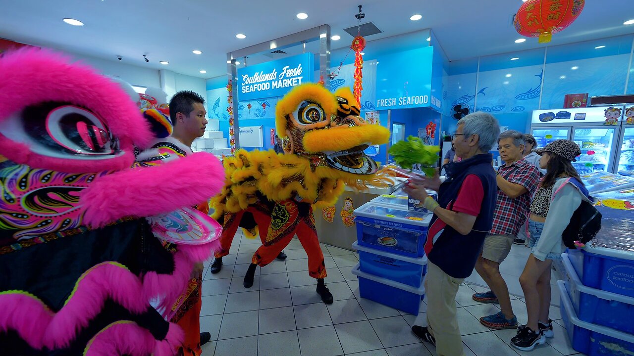 Lion Dance Chinese New Year Southlands Boulevarde Seafood Market Perth Australia