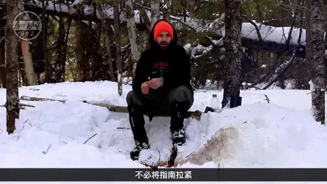 Camp in a hammock in winter 1