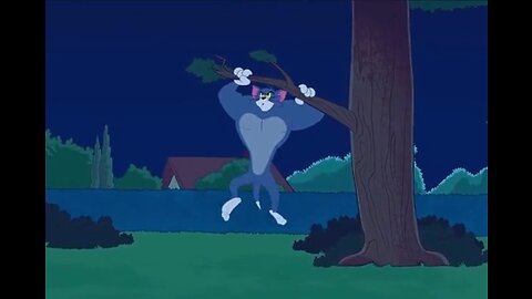 Tom and jerry