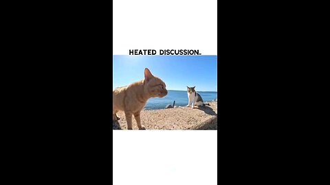 hated discussion