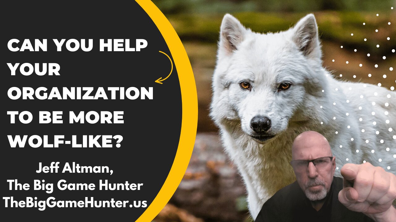 Can You Help Your Organization to Be More Wolf-Like?