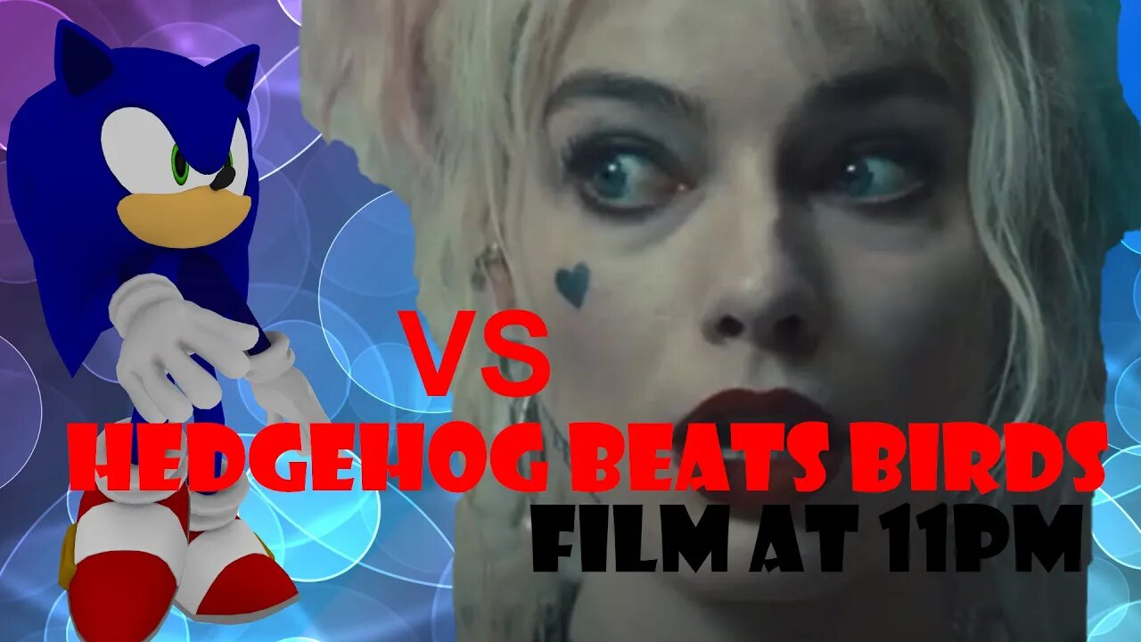 Sonic races by Harley Quinn