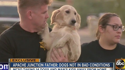 14 dogs removed from home near Apache Junction, suspect disagrees with MCSO