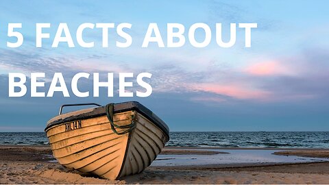 5 Facts about Beaches You Didn’t Know! 🏖️