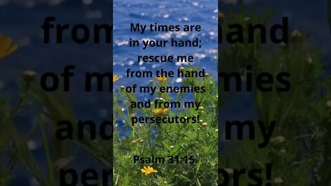 RESCUE ME FROM MY PERSECUTORS! | MEMORIZE HIS VERSES TODAY | Psalm 31:15