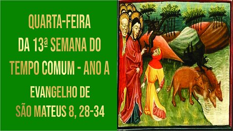 Evangelho da Quarta-feira da 13ª Semana do Tempo Comum - Ano A Mt 8, 28-34