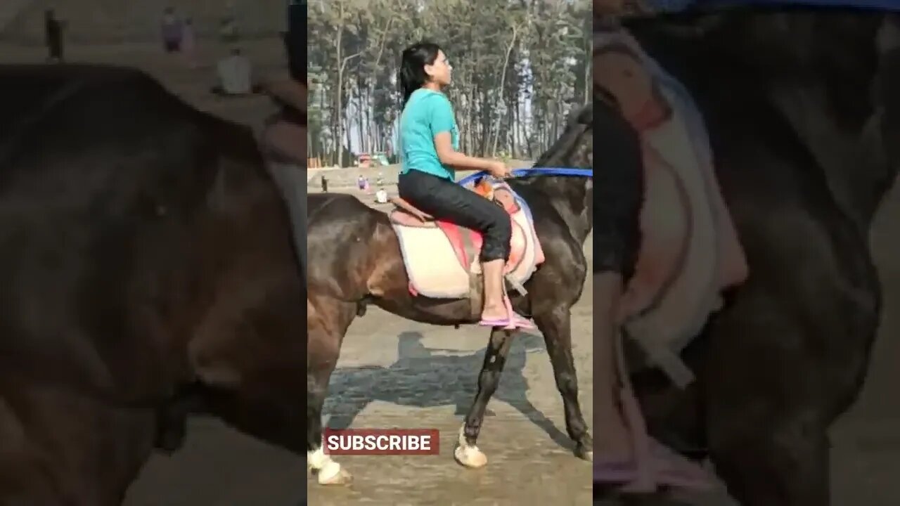 Horseriding at alibagโคโค๐๐๐#mumbai #horseriding #shorts #viralvideo #youtubeshort