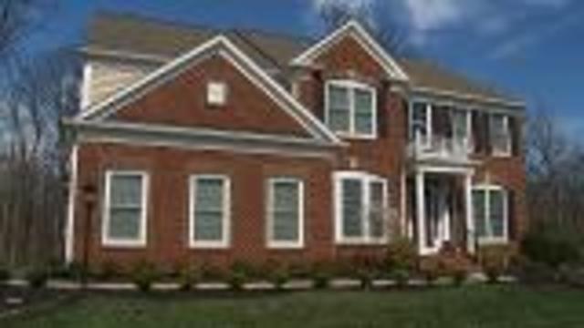 Buying A Pest Free Home