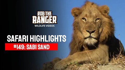 Safari Highlights #149: 12 - 15 July 2012 | Sabi Sand Nature Reserve | Latest Wildlife Sightings