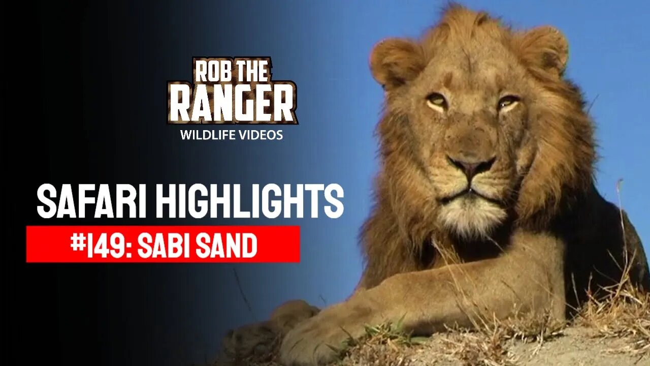Safari Highlights #149: 12 - 15 July 2012 | Sabi Sand Nature Reserve | Latest Wildlife Sightings