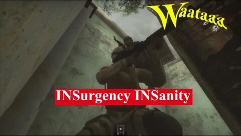 INSurgency INSanity