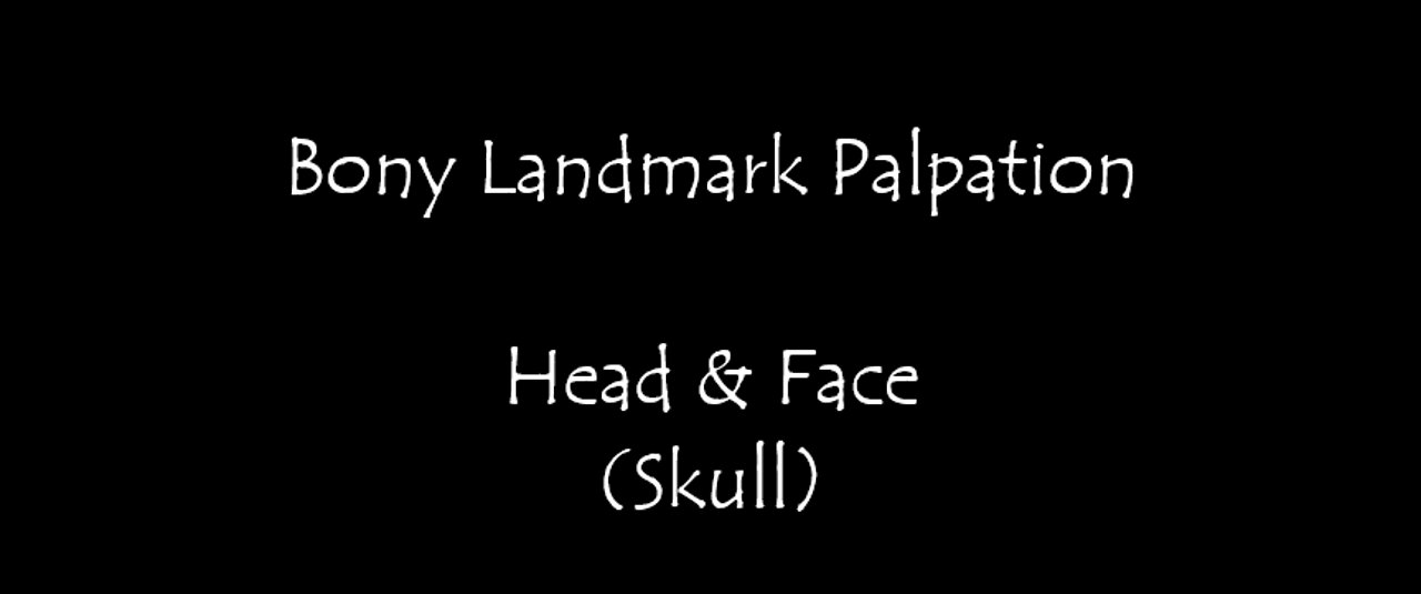 Bony Landmark Palpation - Skull (Frontal Parietal Temporal Occipital Maxilla Mandible Zygomatic)