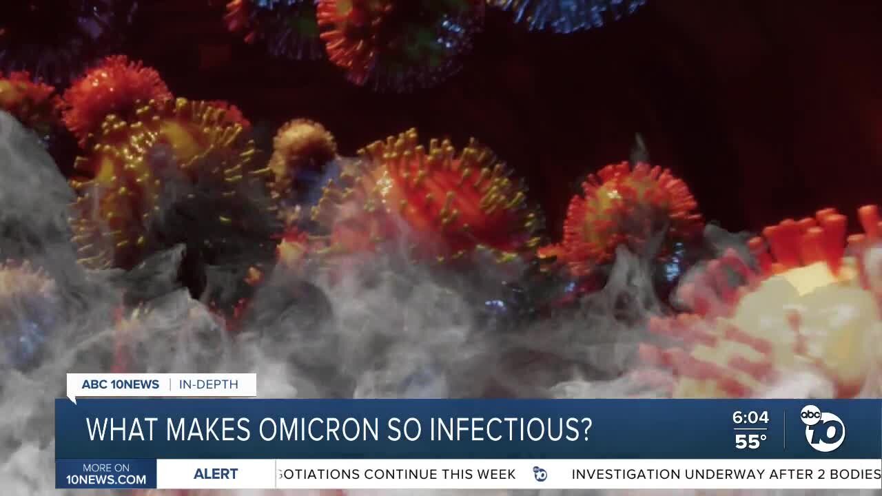 In-Depth: What makes omicron so infectious?