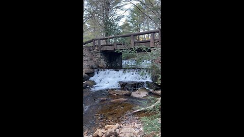 Peaceful Waterfall and Stream 🥰