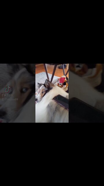 Thats just my cellphone holder!!!