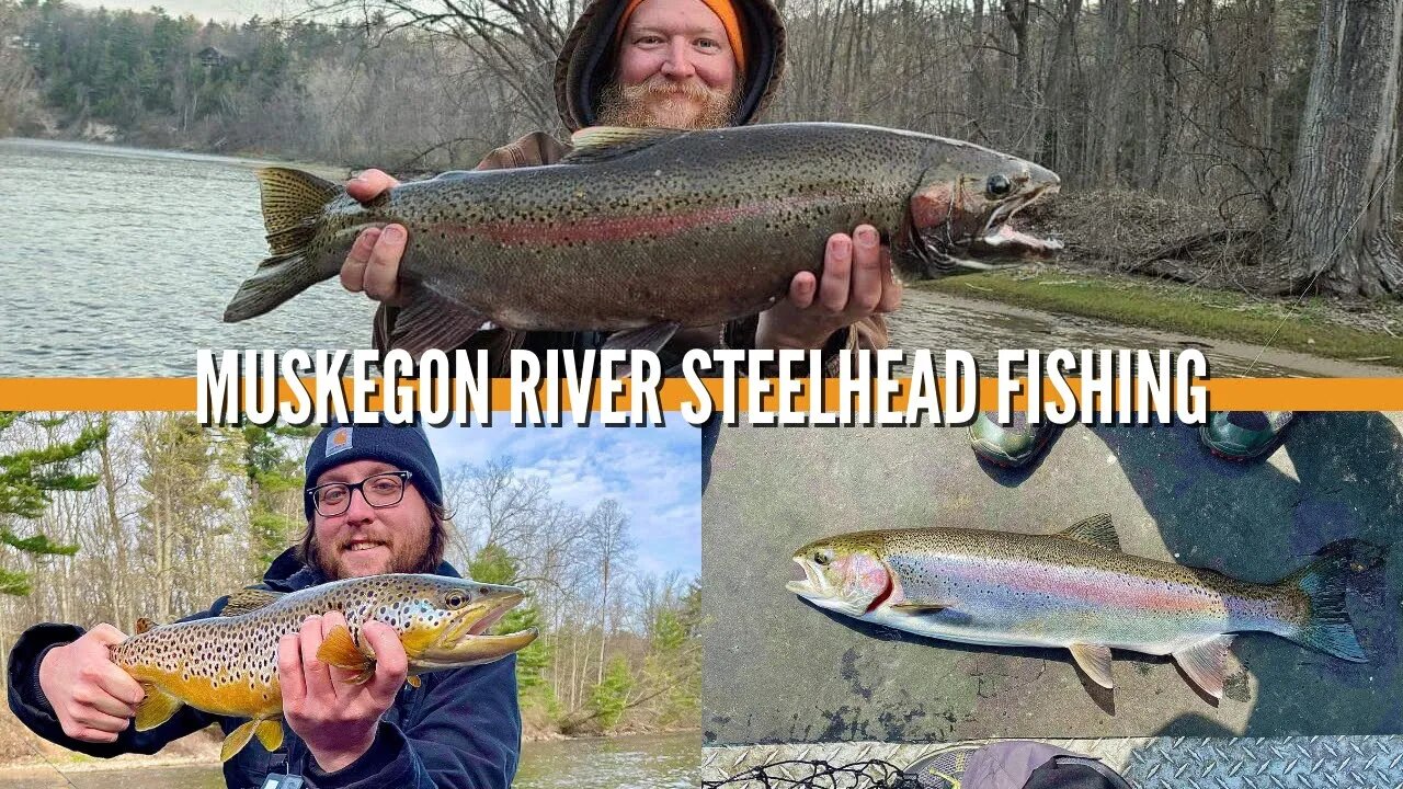 Muskegon River Steelhead Fishing / Steelhead Fishing Michigan / West Michigan Guide Service